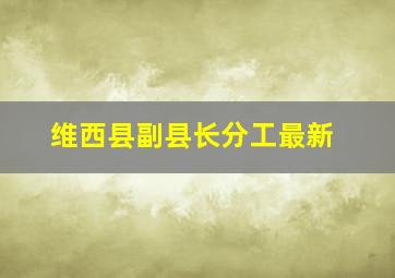 维西县副县长分工最新