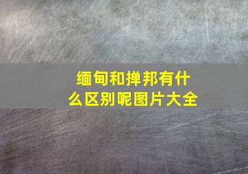 缅甸和掸邦有什么区别呢图片大全