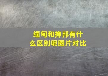 缅甸和掸邦有什么区别呢图片对比