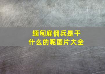 缅甸雇佣兵是干什么的呢图片大全