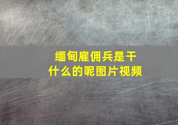 缅甸雇佣兵是干什么的呢图片视频