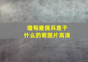 缅甸雇佣兵是干什么的呢图片高清