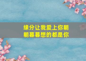 缘分让我爱上你朝朝暮暮想的都是你