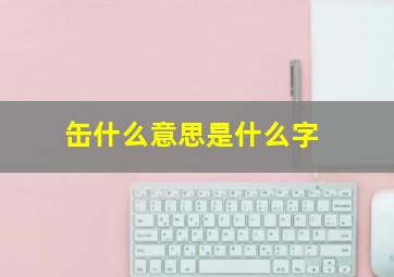 缶什么意思是什么字