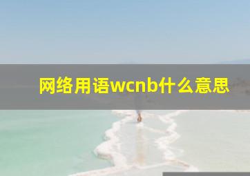 网络用语wcnb什么意思