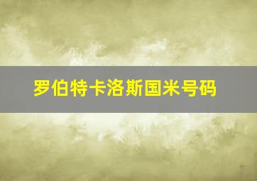 罗伯特卡洛斯国米号码