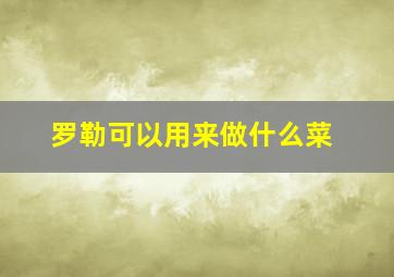 罗勒可以用来做什么菜