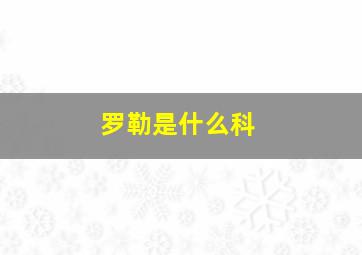 罗勒是什么科