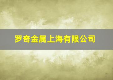 罗奇金属上海有限公司