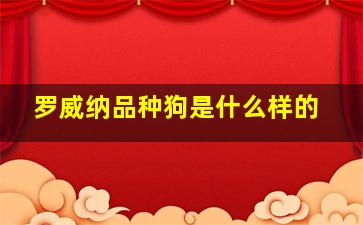 罗威纳品种狗是什么样的