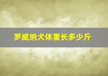 罗威纳犬体重长多少斤