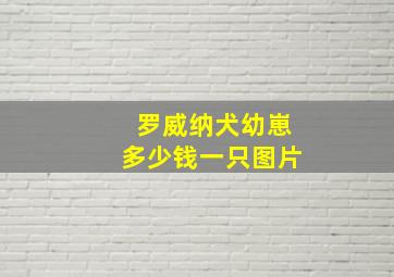 罗威纳犬幼崽多少钱一只图片