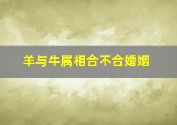 羊与牛属相合不合婚姻