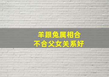 羊跟兔属相合不合父女关系好