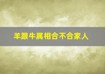 羊跟牛属相合不合家人