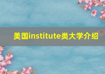 美国institute类大学介绍