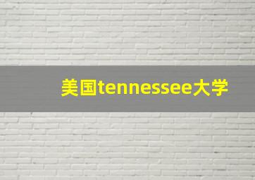 美国tennessee大学