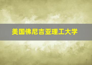 美国佛尼吉亚理工大学