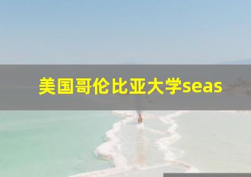 美国哥伦比亚大学seas