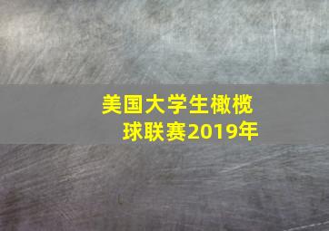 美国大学生橄榄球联赛2019年