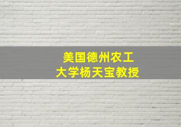 美国德州农工大学杨天宝教授