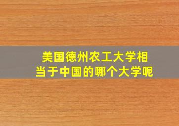 美国德州农工大学相当于中国的哪个大学呢