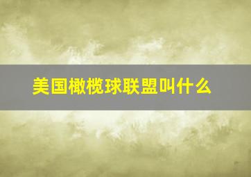 美国橄榄球联盟叫什么