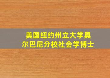 美国纽约州立大学奥尔巴尼分校社会学博士