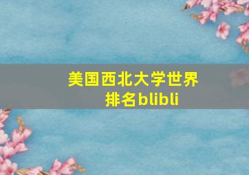 美国西北大学世界排名blibli