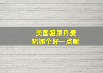 美国貂跟丹麦貂哪个好一点呢