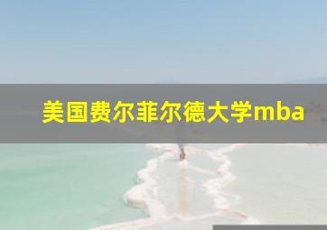 美国费尔菲尔德大学mba