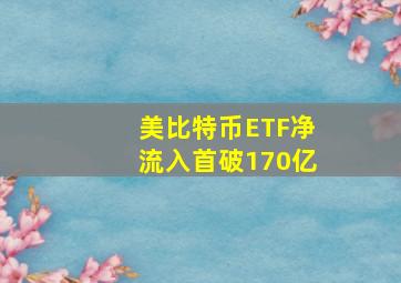 美比特币ETF净流入首破170亿