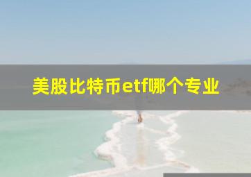 美股比特币etf哪个专业