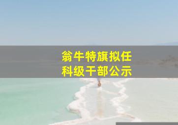 翁牛特旗拟任科级干部公示