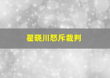 翟晓川怒斥裁判