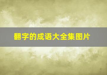 翻字的成语大全集图片