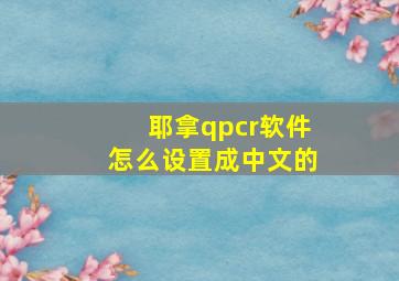 耶拿qpcr软件怎么设置成中文的