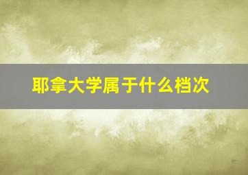 耶拿大学属于什么档次