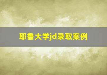 耶鲁大学jd录取案例