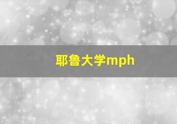 耶鲁大学mph