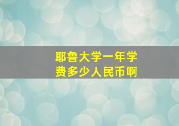 耶鲁大学一年学费多少人民币啊