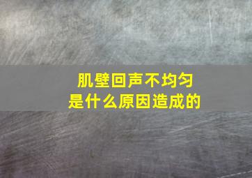 肌壁回声不均匀是什么原因造成的