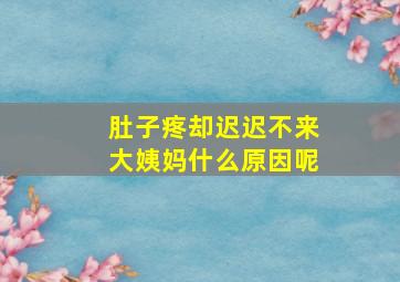 肚子疼却迟迟不来大姨妈什么原因呢