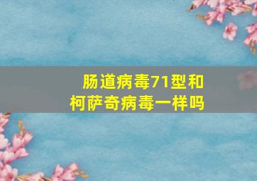 肠道病毒71型和柯萨奇病毒一样吗