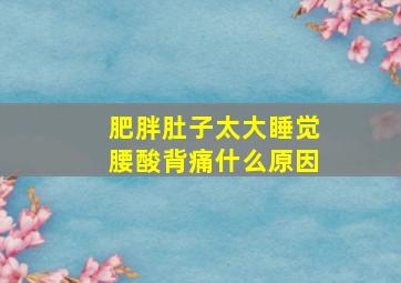 肥胖肚子太大睡觉腰酸背痛什么原因