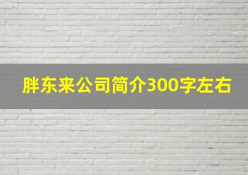 胖东来公司简介300字左右