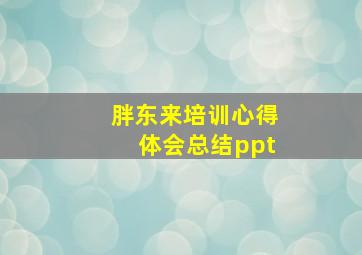 胖东来培训心得体会总结ppt