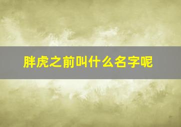 胖虎之前叫什么名字呢