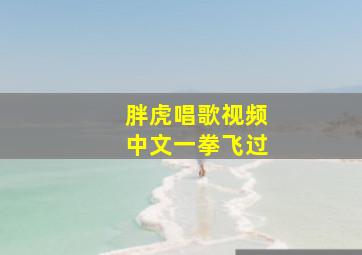 胖虎唱歌视频中文一拳飞过