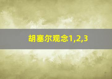 胡塞尔观念1,2,3